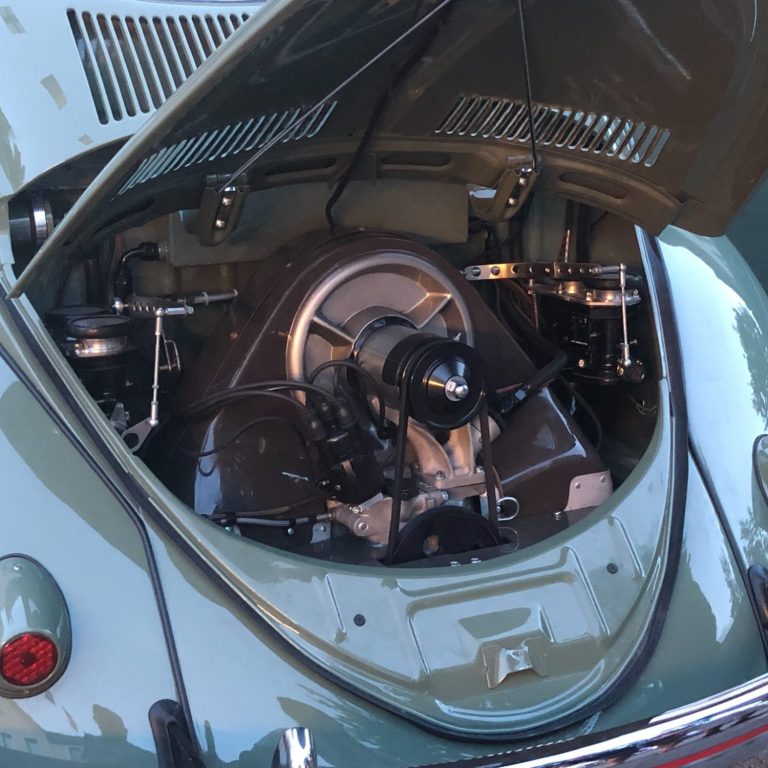 Zwitter Oval Bug